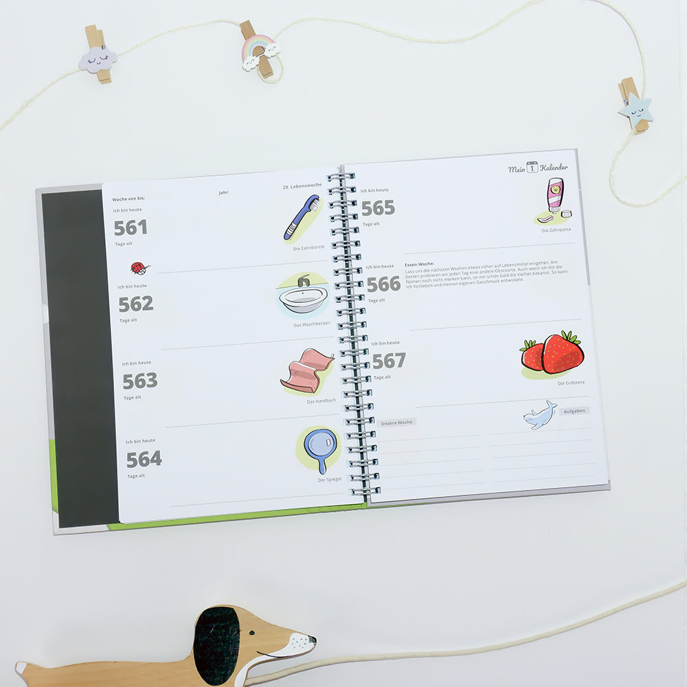 Baby Tagebuch - Spielen – Lernen – Entwickeln 2. Lebensjahr - Mein 1. Kalender